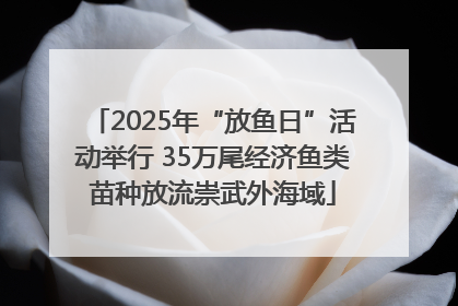 2025年“放鱼日”活动举行 35万尾经济鱼类苗种放流崇武外海域