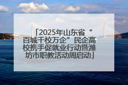 2025年山东省“百城千校万企”民企高校携手促就业行动暨潍坊市职教活动周启动