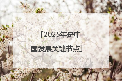 2025年是中国发展关键节点
