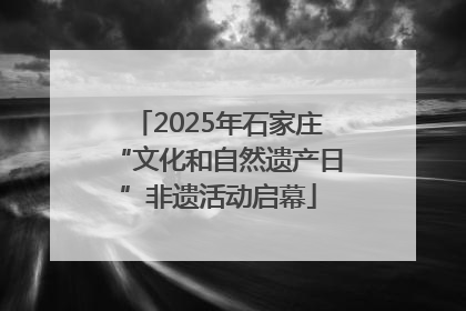 2025年石家庄“文化和自然遗产日”非遗活动启幕