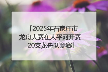 2025年石家庄市龙舟大赛在太平河开赛 20支龙舟队参赛