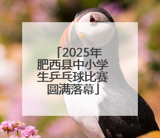 2025年肥西县中小学生乒乓球比赛圆满落幕