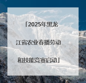 2025年黑龙江省农业春播劳动和技能竞赛启动