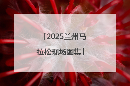 2025兰州马拉松现场图集