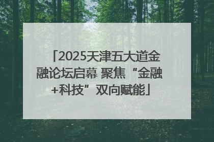 2025天津五大道金融论坛启幕 聚焦“金融+科技”双向赋能