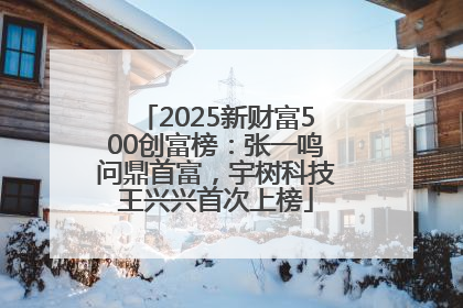 2025新财富500创富榜：张一鸣问鼎首富，宇树科技王兴兴首次上榜