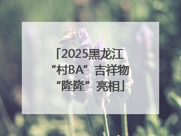 2025黑龙江“村BA”吉祥物“隆隆”亮相