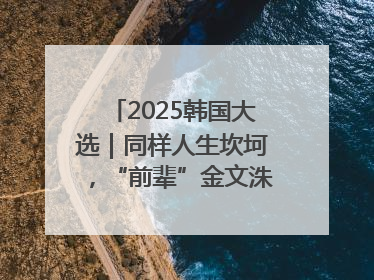 2025韩国大选｜同样人生坎坷，“前辈”金文洙能否打败李在明“逆风翻盘”？