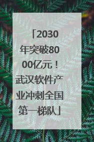 2030年突破8000亿元！武汉软件产业冲刺全国第一梯队