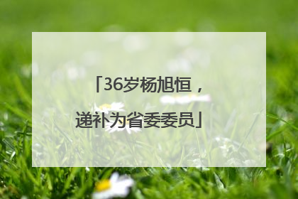 36岁杨旭恒，递补为省委委员