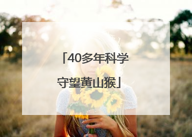 40多年科学守望黄山猴