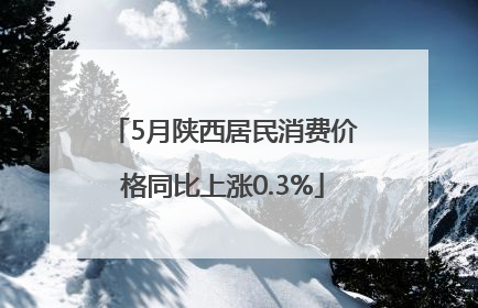5月陕西居民消费价格同比上涨0.3%