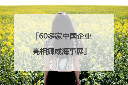 60多家中国企业亮相挪威海事展