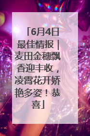 6月4日最佳情报｜麦田金穗飘香迎丰收，凌霄花开娇艳多姿！恭喜