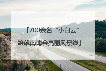 700余名“小白云”绘就南博会亮丽风景线