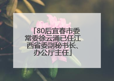 80后宜春市委常委徐云涌已任江西省委副秘书长、办公厅主任