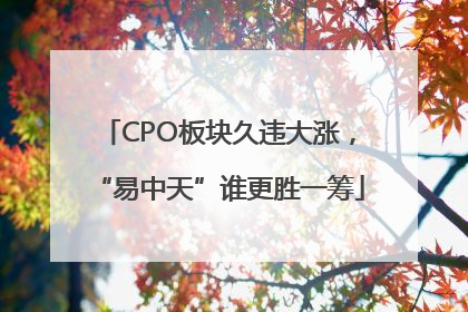 CPO板块久违大涨，“易中天”谁更胜一筹
