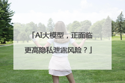 AI大模型，正面临更高隐私泄露风险？