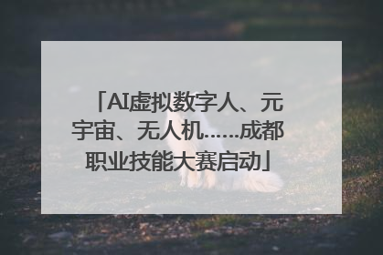 AI虚拟数字人、元宇宙、无人机……成都职业技能大赛启动