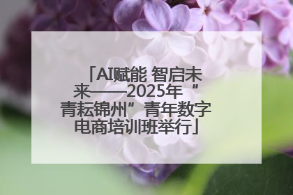AI赋能 智启未来——2025年“青耘锦州”青年数字电商培训班举行