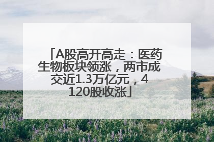 A股高开高走：医药生物板块领涨，两市成交近1.3万亿元，4120股收涨