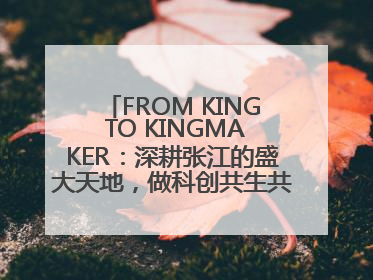 FROM KING TO KINGMAKER：深耕张江的盛大天地，做科创共生共荣体系的践行者