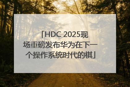 HDC 2025现场重磅发布华为在下一个操作系统时代的棋